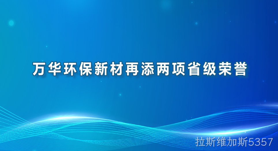 拉斯维加斯5357环保新材再添两项省级荣誉
